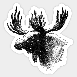 Vintage Elk Sketch Sticker